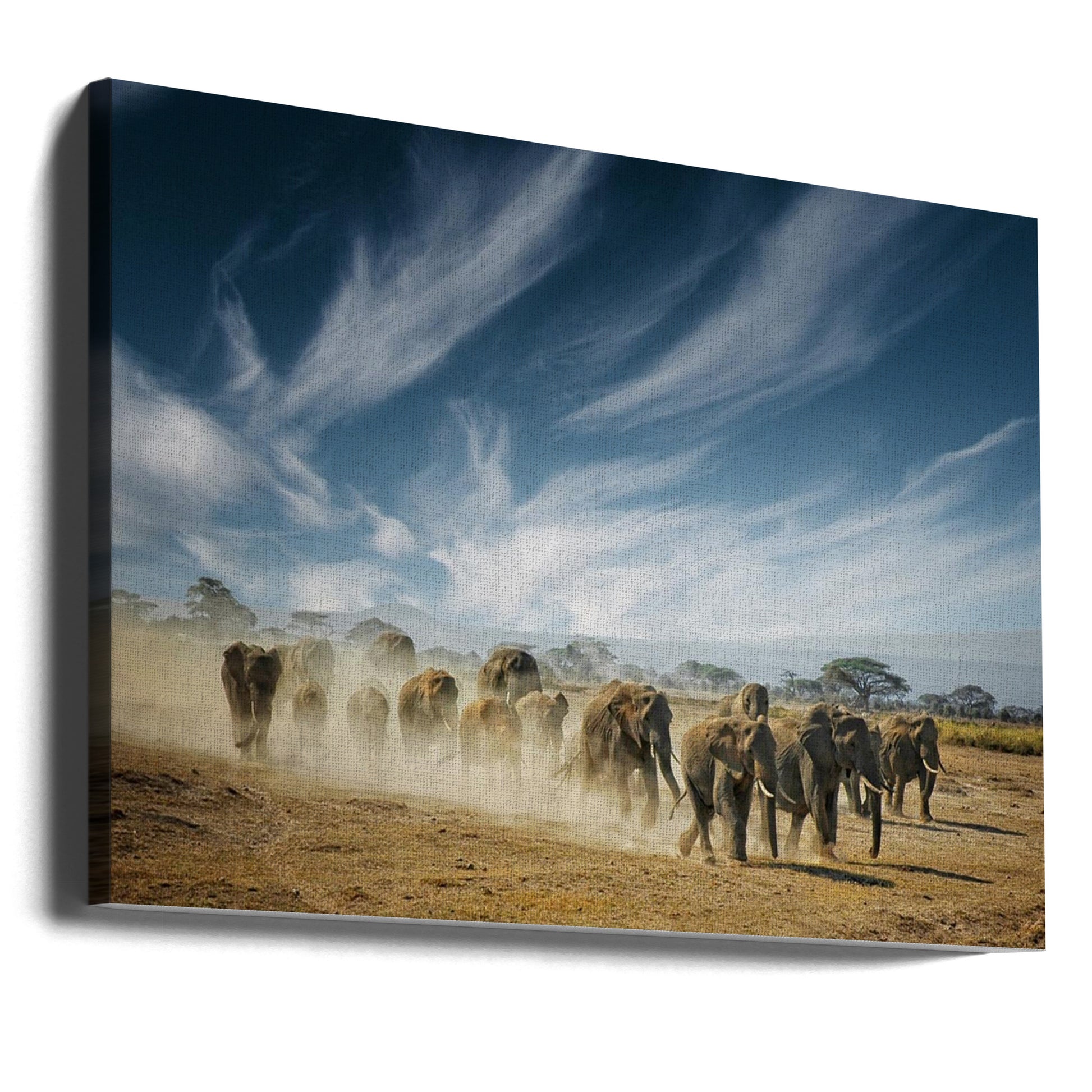 Wild Elephant Herd by Mathilde Guillemot | African Wildlife Nature, Large Canvas Wall Art Print | Artsy Earth