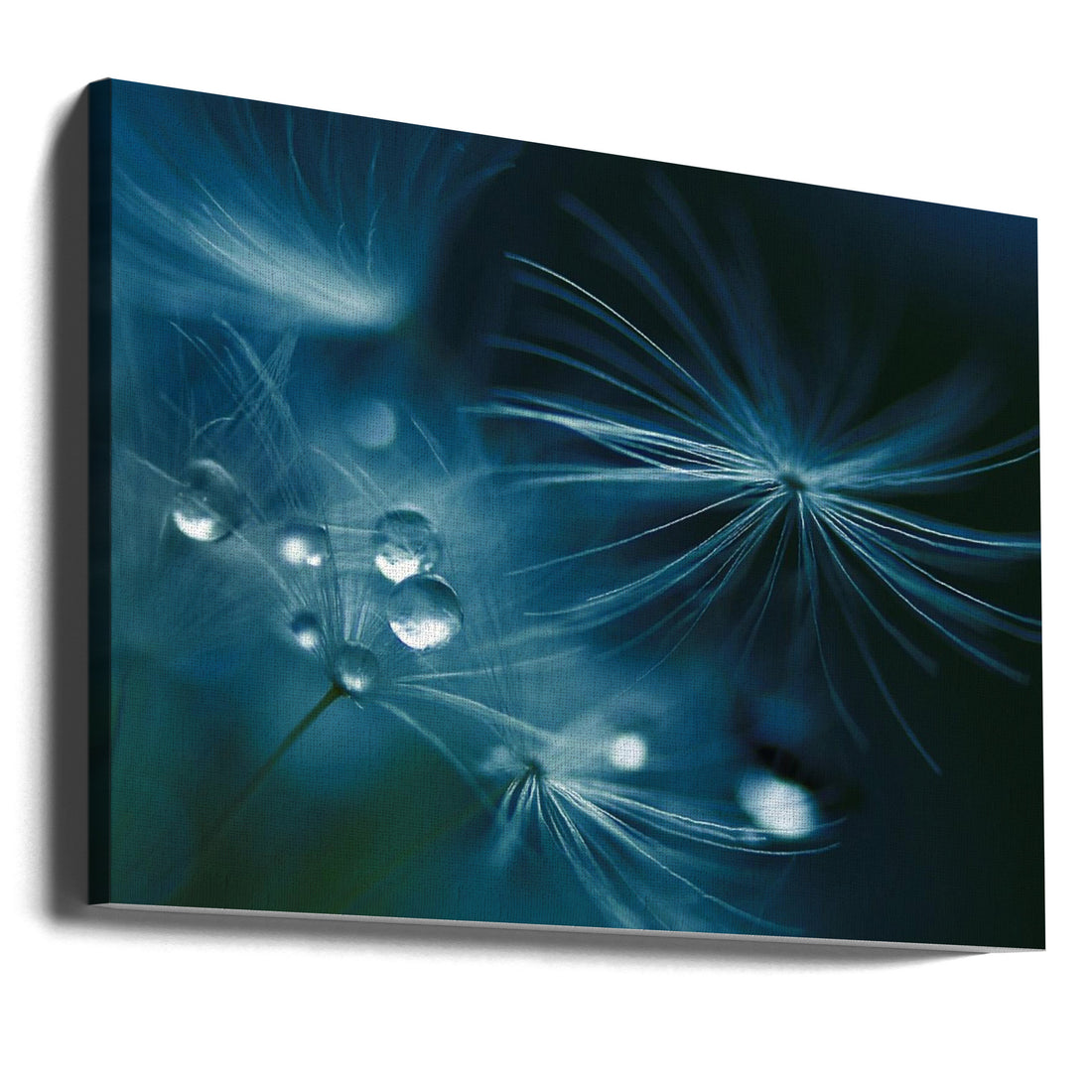 Soft Touch by Adriana K.h. | Delicate Water Droplets, Large Canvas Wall Art Print | Artsy Earth