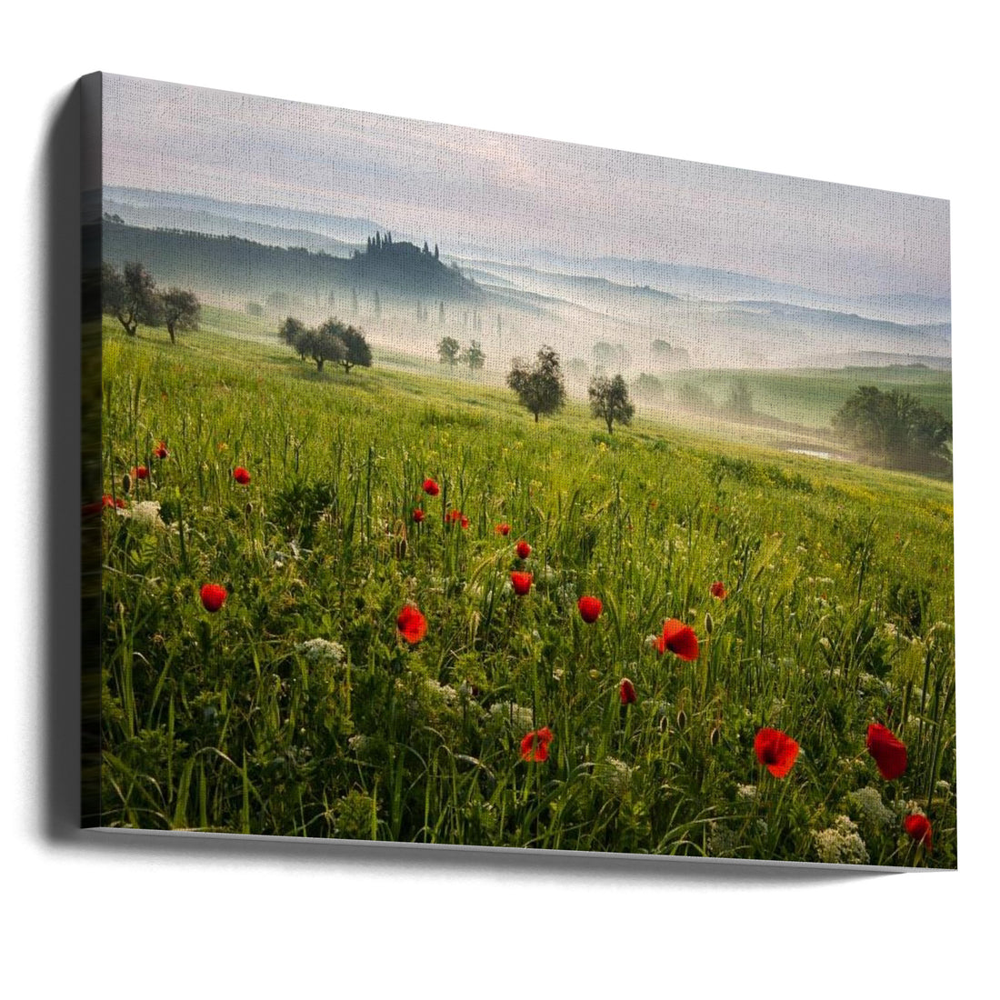 Tuscan Spring by Daniel Řeřicha | Rolling Hills Landscape, Large Canvas Wall Art Print | Artsy Earth