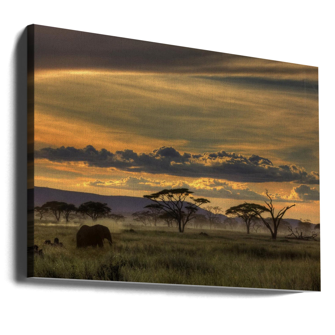 African Safari by Amnon Eichelberg | Wildlife Savannah Landscape, Large Canvas Wall Art Print | Artsy Earth