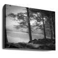 Loch an Eilein by Dorit Fuhg | Serene Forest Lake, Large Canvas Wall Art Print | Artsy Earth