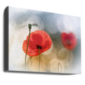 Morning Poppies by Steve Moore | Red Floral Bokeh, Large Canvas Wall Art Print | Artsy Earth