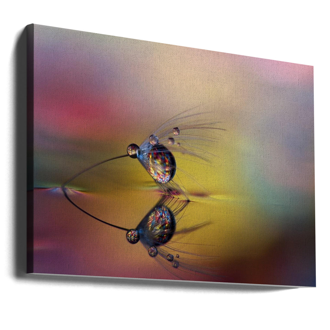 Colorize the darkness by Heidi Westum | Colorful Water Droplets, Large Canvas Wall Art Print | Artsy Earth