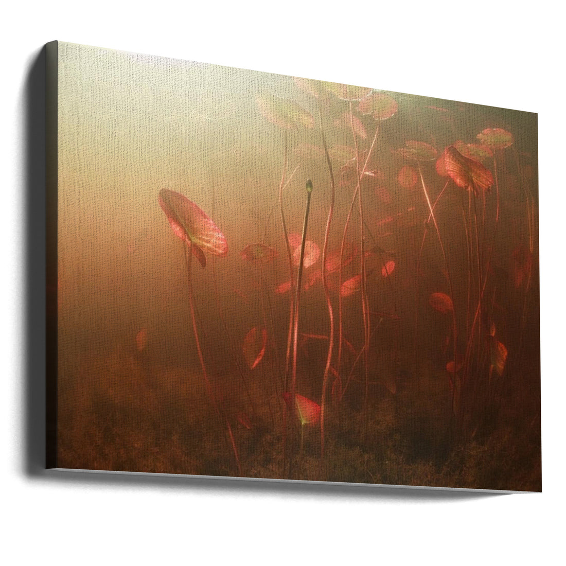 Underwater Flora by Andrey Narchuk | Water Lily Botanical, Large Canvas Wall Art Print | Artsy Earth