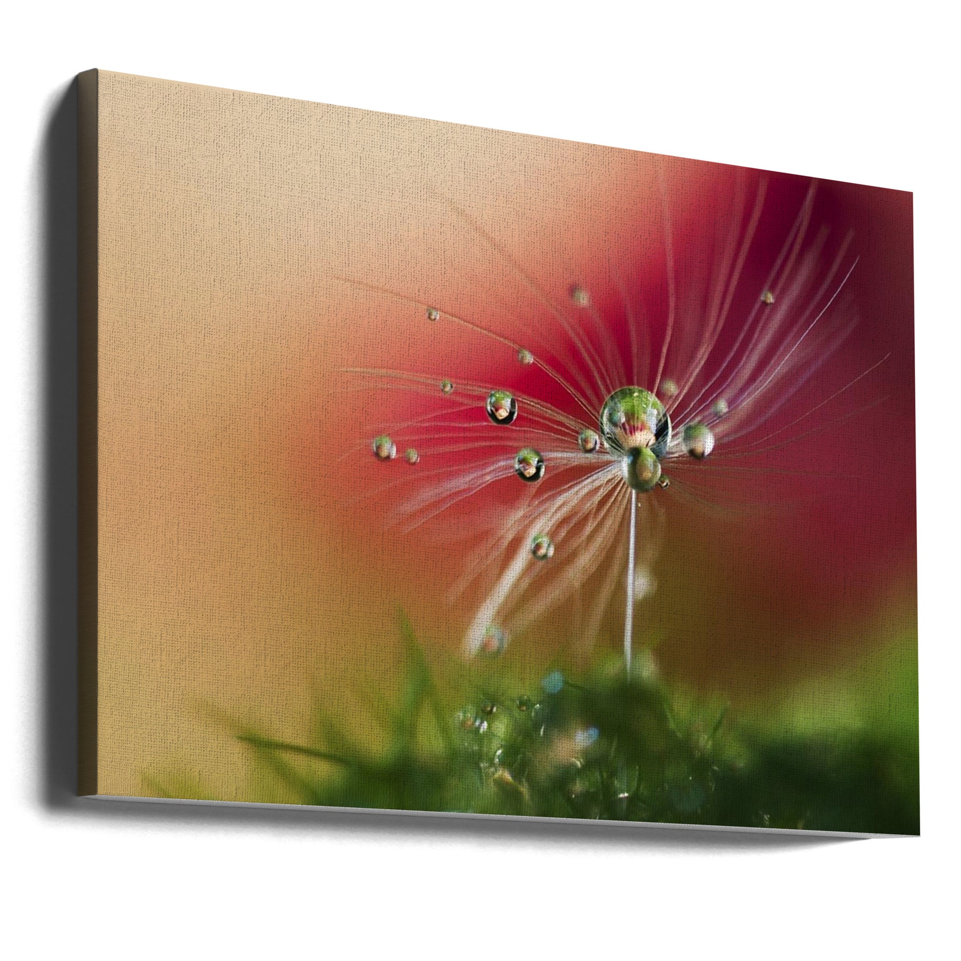 Red Morning by Heidi Westum | Macro Water Droplets, Large Canvas Wall Art Print | Artsy Earth