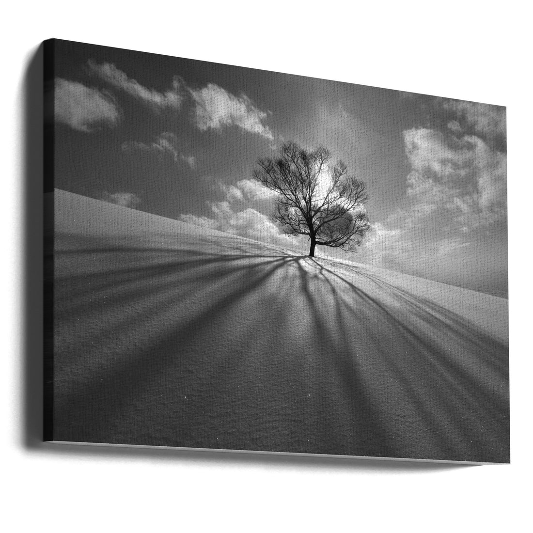 Tree Shadow by Kengo Shibutani | Lonely Winter Landscape, Large Canvas Wall Art Print | Artsy Earth