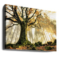 November Dawn by Christophe Kiciak | Autumn Forest Fantasy, Large Canvas Wall Art Print | Artsy Earth