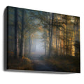 autumn symphony by Norbert Maier | Foggy Forest Path, Large Canvas Wall Art Print | Artsy Earth