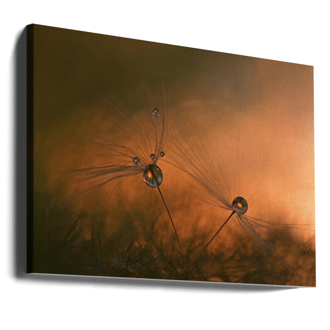 Forest Fire by Heidi Westum | Abstract Macro Droplets, Large Canvas Wall Art Print | Artsy Earth