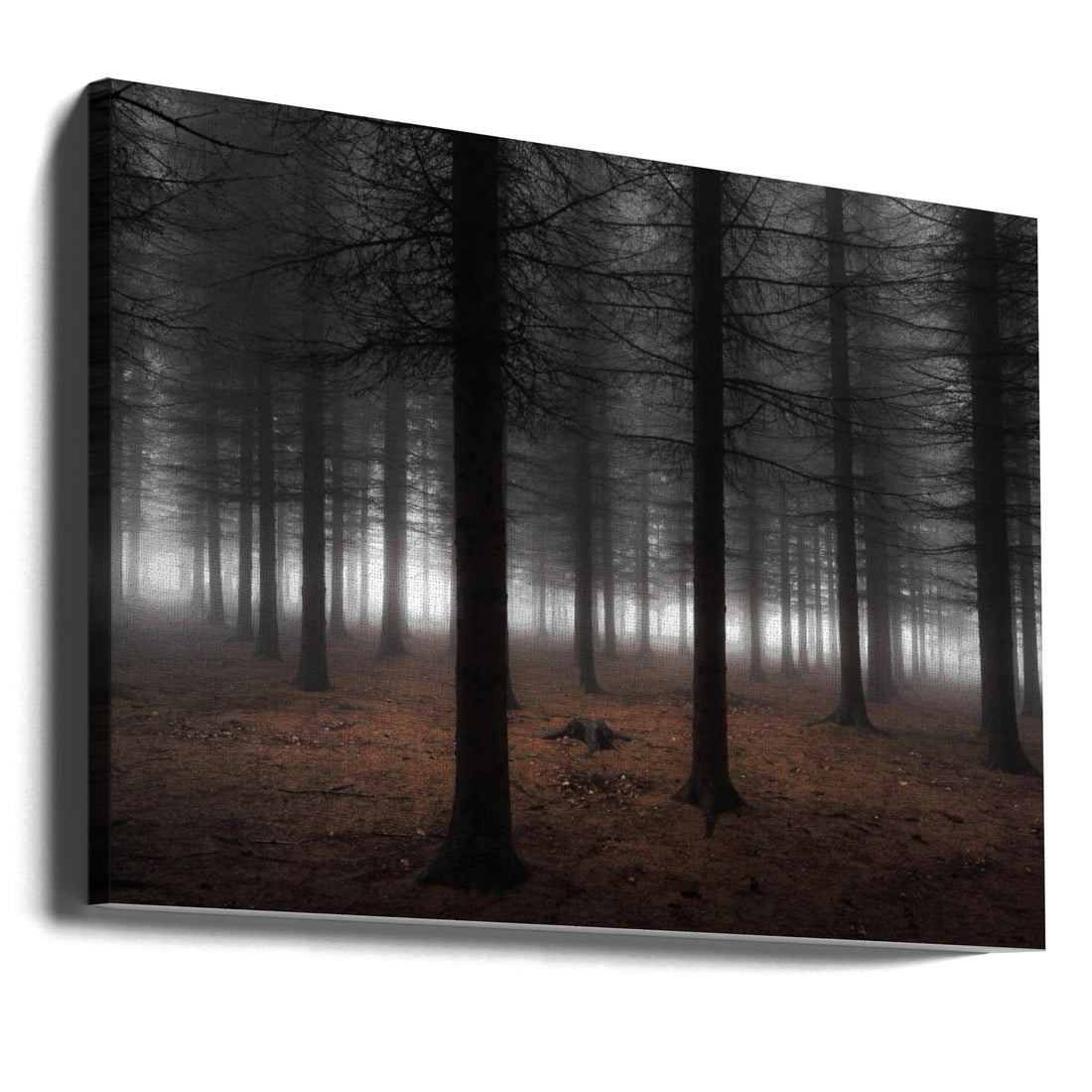 Silence by Dragisa Petrovic | Misty Forest Landscape, Large Canvas Wall Art Print | Artsy Earth