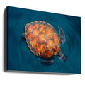 Spinning Sea Turtle by Sergi Garcia | Ocean Wildlife Nature, Large Canvas Wall Art Print | Artsy Earth