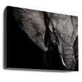 The Matriarch by Piet Flour | African Wildlife Nature, Large Canvas Wall Art Print | Artsy Earth