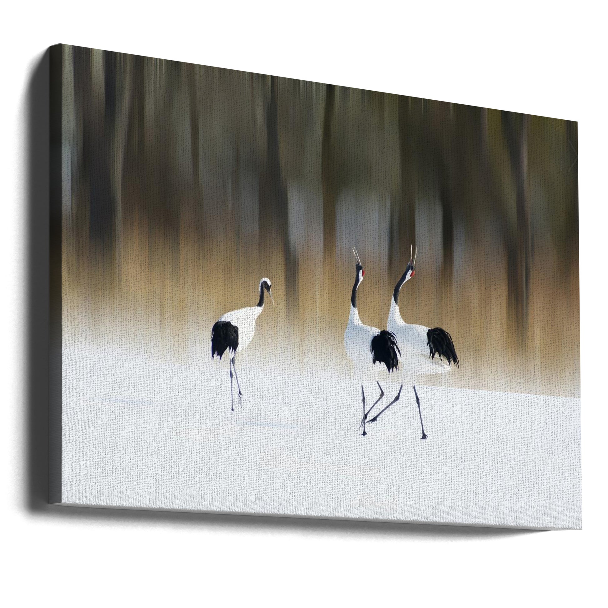 Sing a song of Love by Ikuo Iga | Dancing Crane Couple, Large Canvas Wall Art Print | Artsy Earth