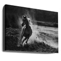 Take off by Mohammed Alnaser | Running Horse Action, Large Canvas Wall Art Print | Artsy Earth