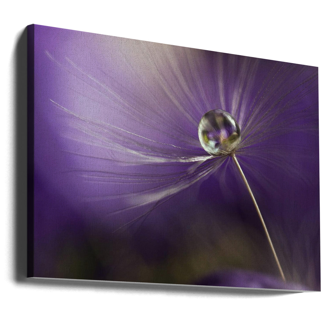 In shades of purple by Heidi Westum | Purple Water Droplets, Large Canvas Wall Art Print | Artsy Earth