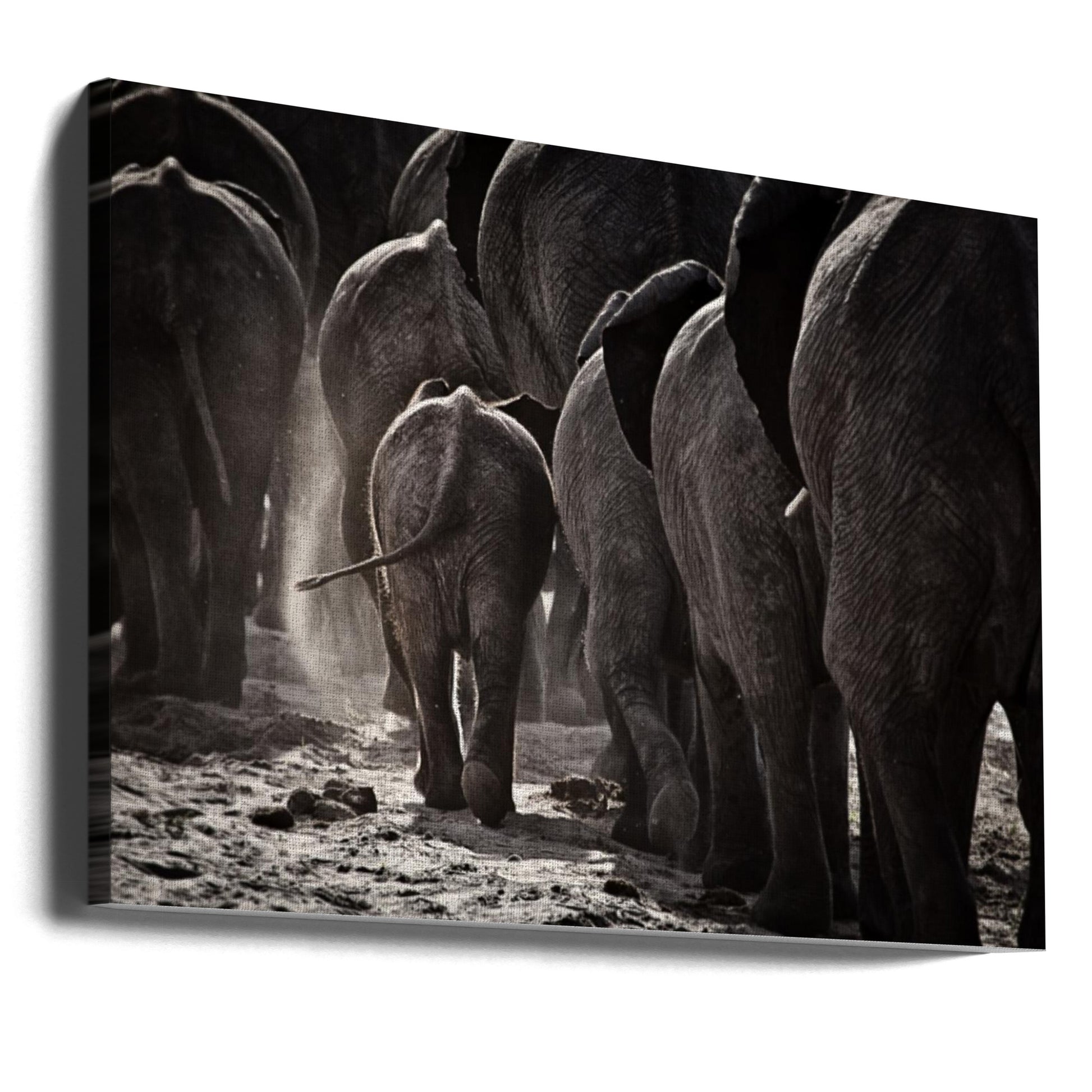 Walking Home by Ben Mcrae | African Wildlife Safari, Large Canvas Wall Art Print | Artsy Earth