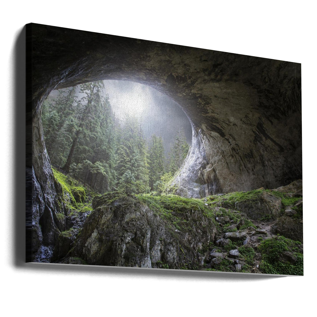 Peek to Heaven by Esmée Prexus | Forest Cave Opening, Large Canvas Wall Art Print | Artsy Earth