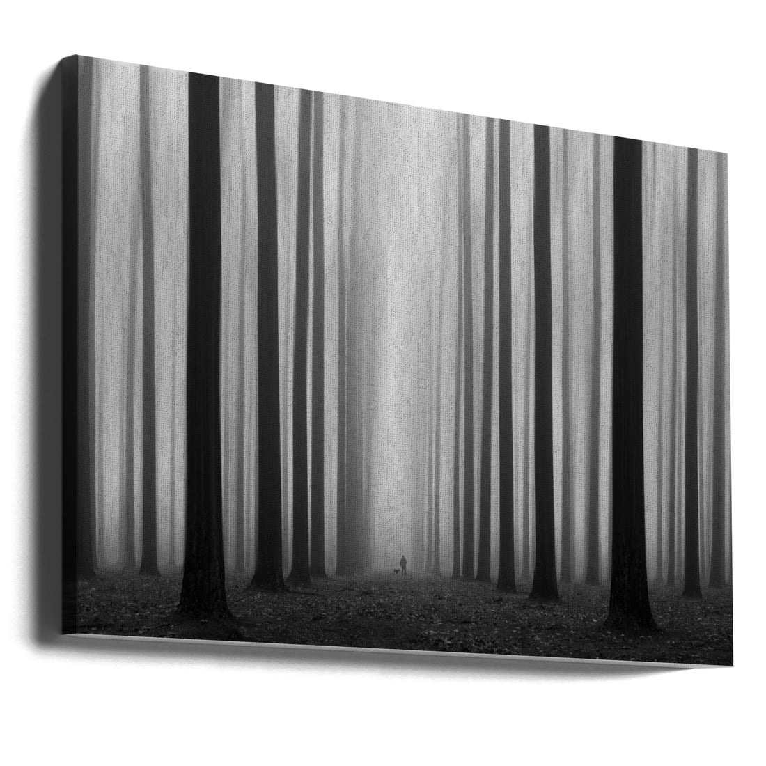 Misty Forest Walk by Jochen Bongaerts | Foggy Forest Silhouette, Large Canvas Wall Art Print | Artsy Earth