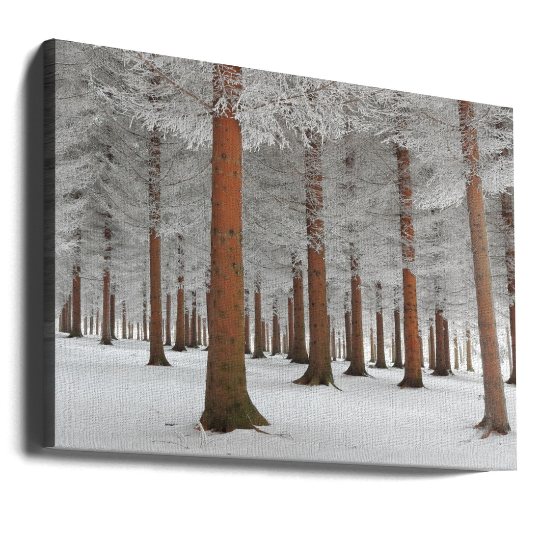 Winter Forest by Dragisa Petrovic | Snowy Landscape Trees, Large Canvas Wall Art Print | Artsy Earth