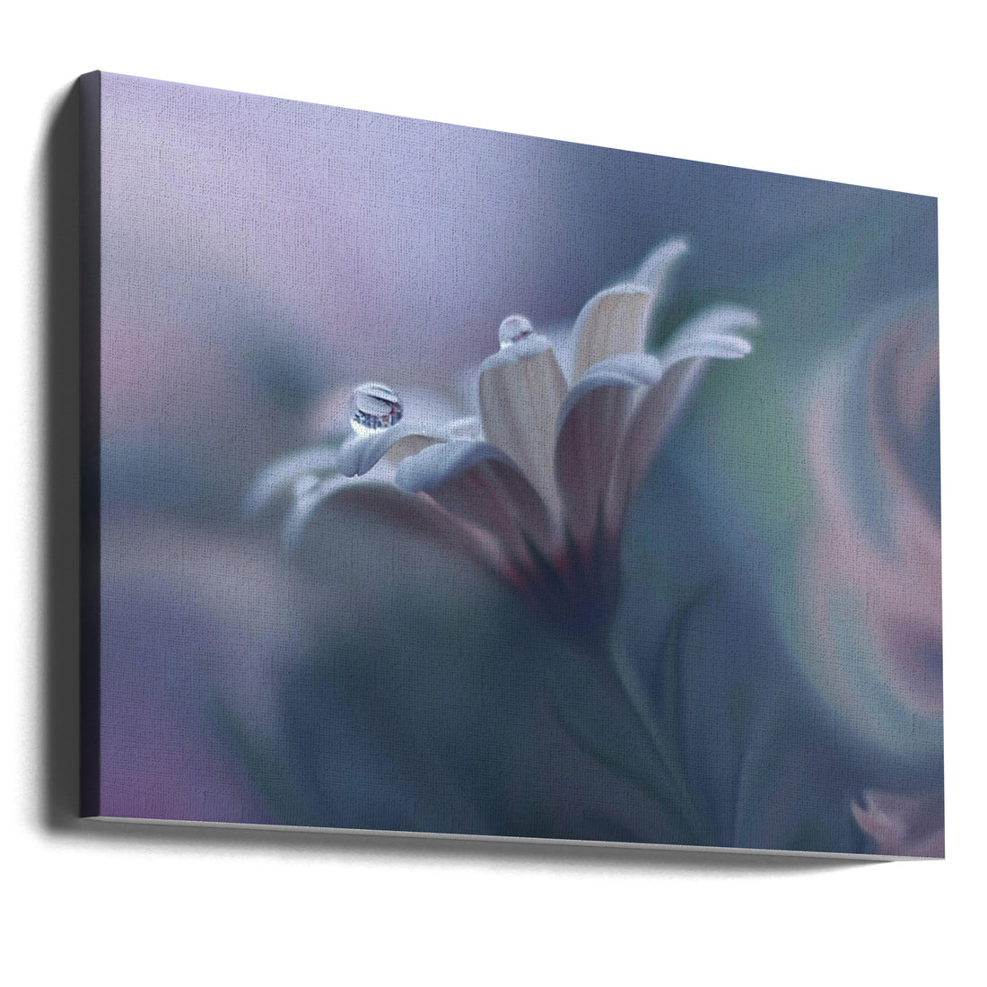 Behind Closed Eyes by Juliana Nan | Soft Floral Bokeh, Large Canvas Wall Art Print | Artsy Earth