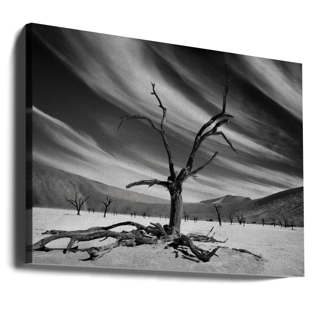 The Supervisor by Mathilde Guillemot | Lonely Desert Tree, Large Canvas Wall Art Print | Artsy Earth