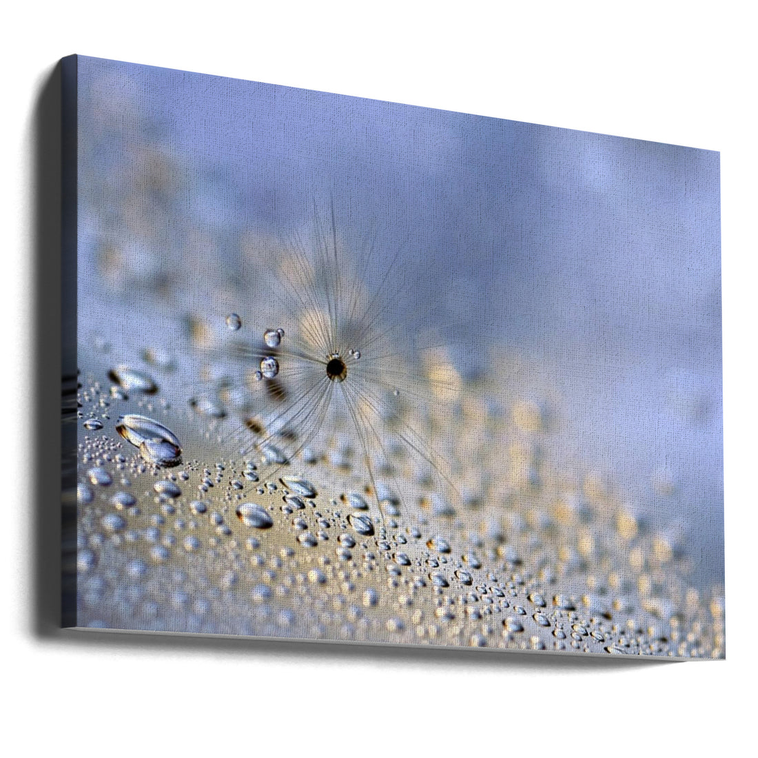 Crawling Down by Heidi Westum | Macro Water Droplets, Large Canvas Wall Art Print | Artsy Earth