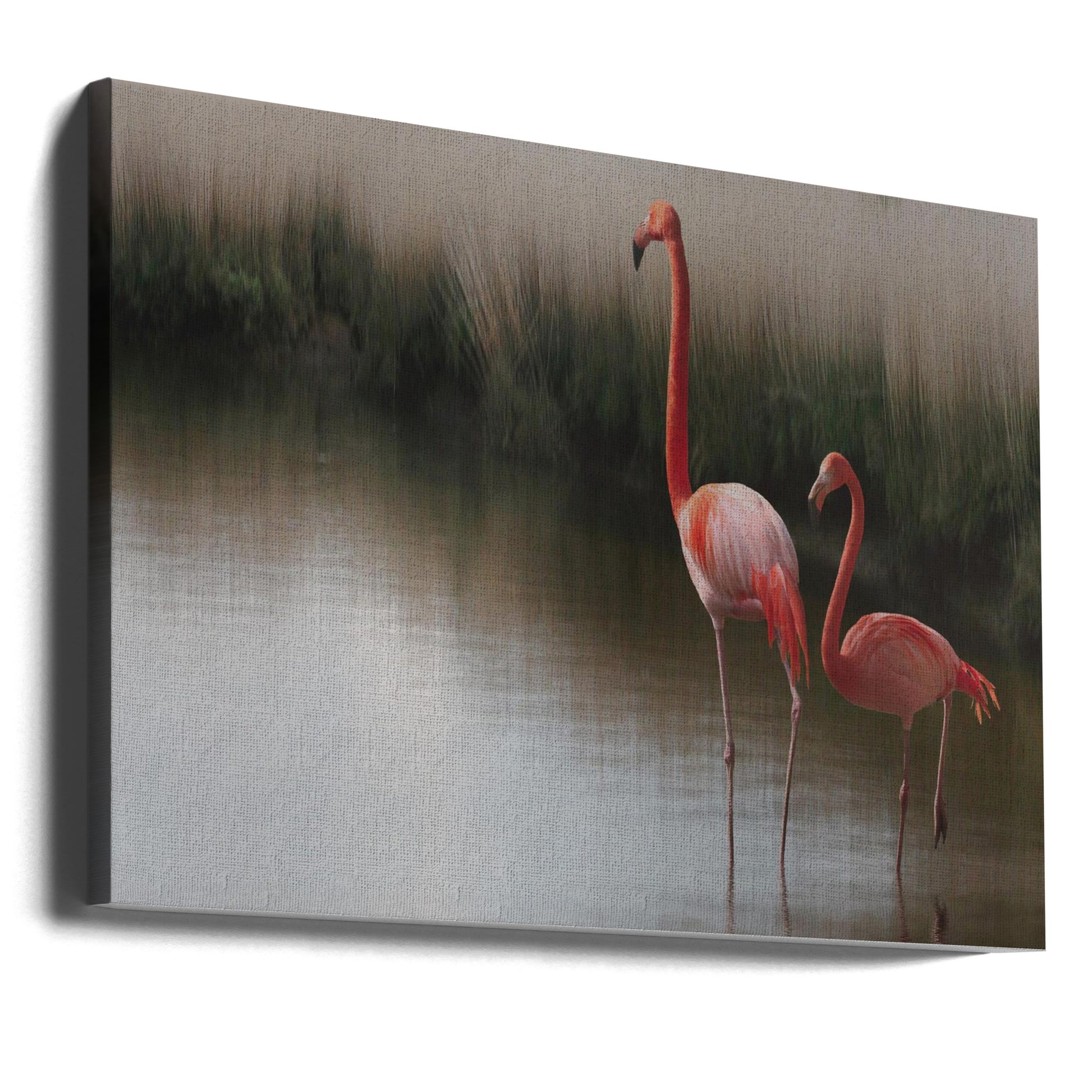 Romantic Flamingos by Anna Cseresnjes | Pink Flamingo Love, Large Canvas Wall Art Print | Artsy Earth