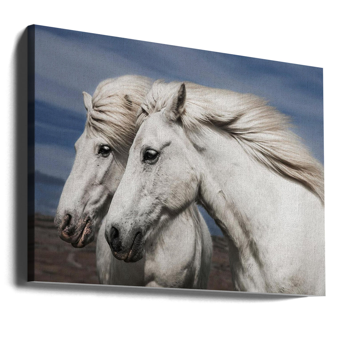 Blowing Mane by Bragi Ingibergsson - Brin | Icelandic Horse Romance, Large Canvas Wall Art Print | Artsy Earth