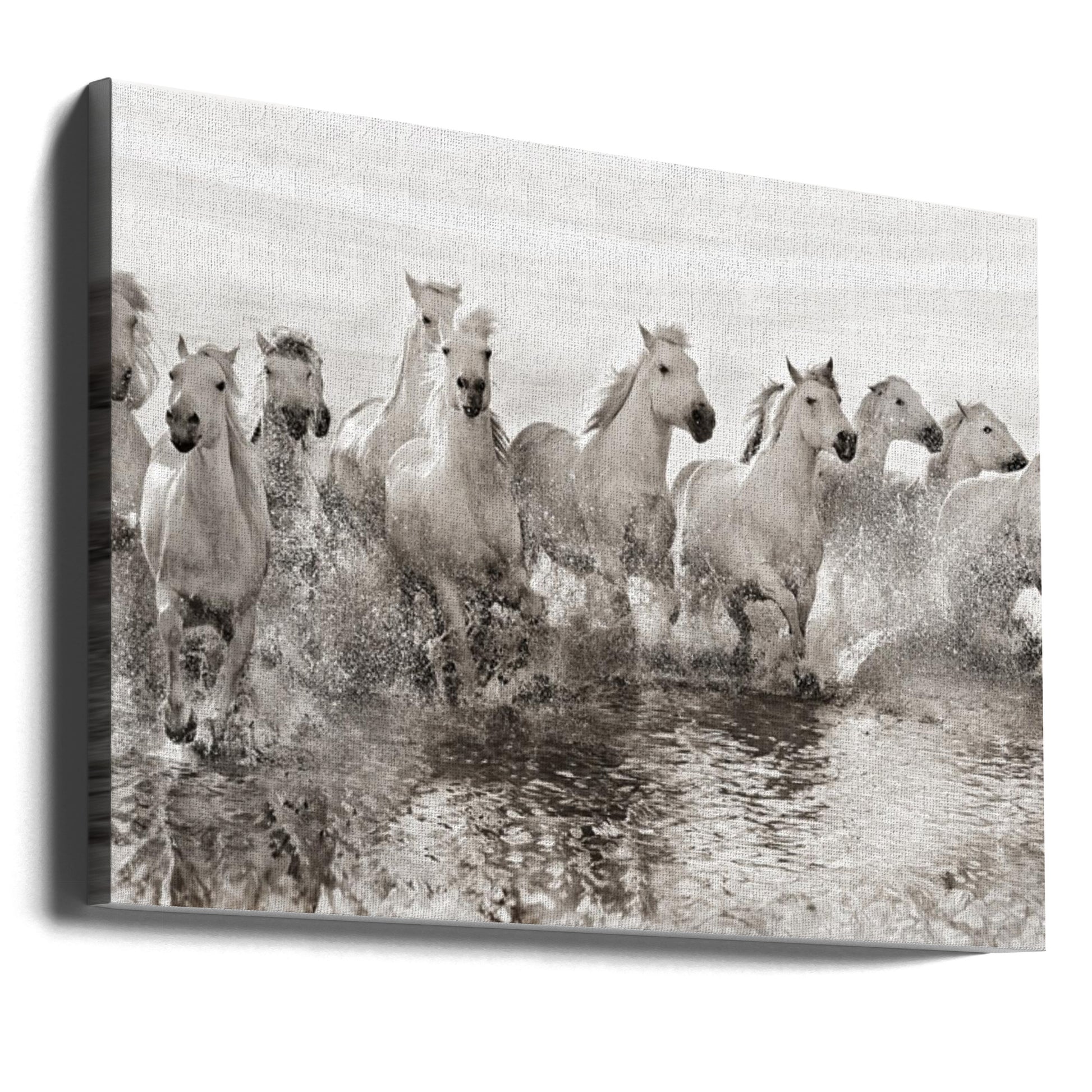 Illusion of Power by Roman Golubenko | White Horses Running, Large Canvas Wall Art Print | Artsy Earth