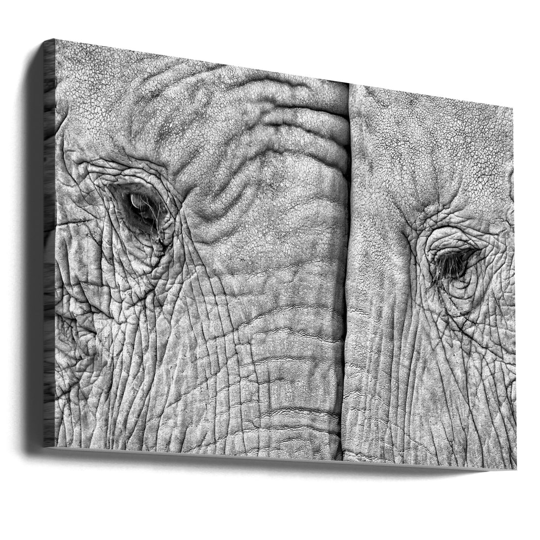 Two Elephants by Juan Luis Duran | Elephant Love Tenderness, Large Canvas Wall Art Print | Artsy Earth