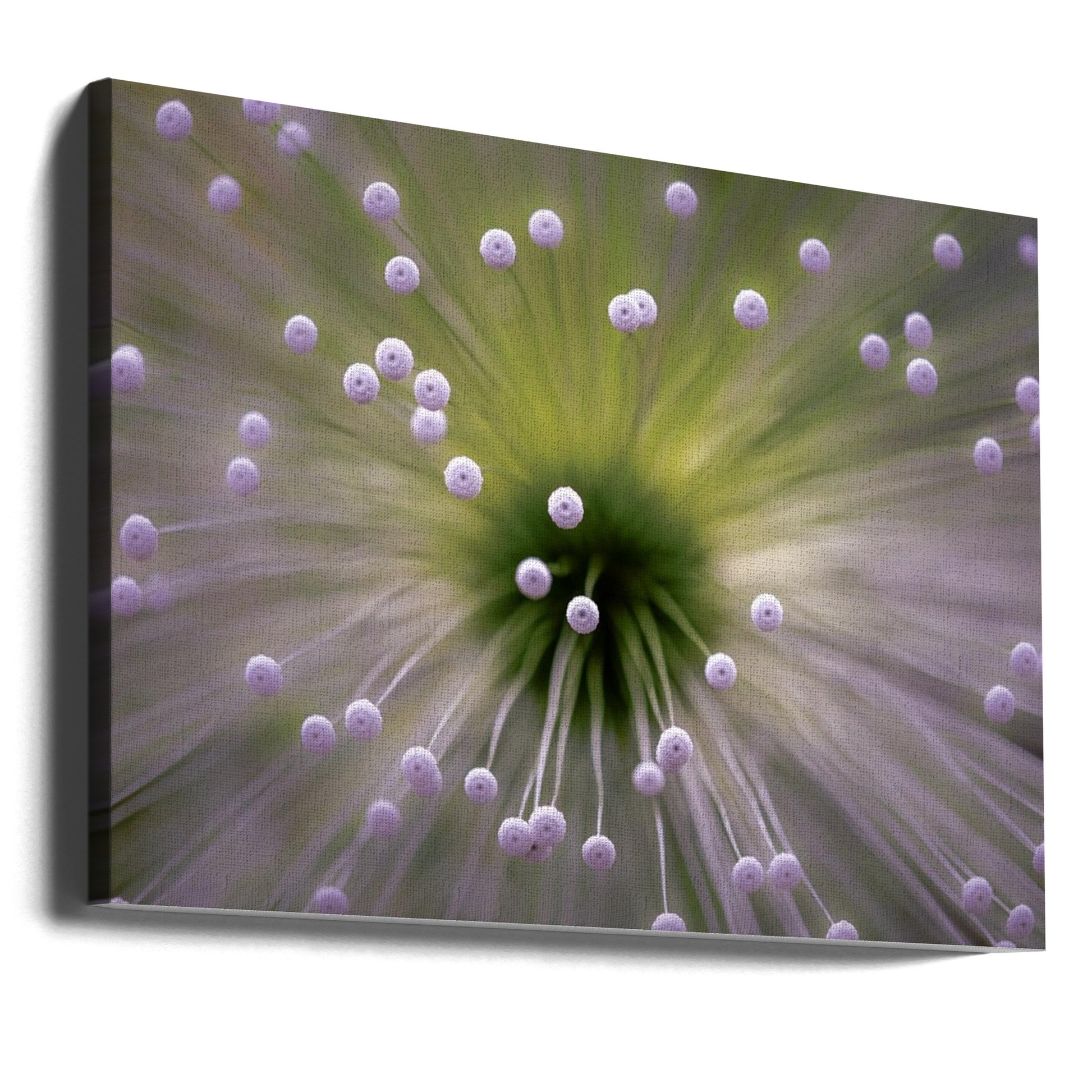 Green and White II by Wave Faber | Macro Floral Botanical, Large Canvas Wall Art Print | Artsy Earth