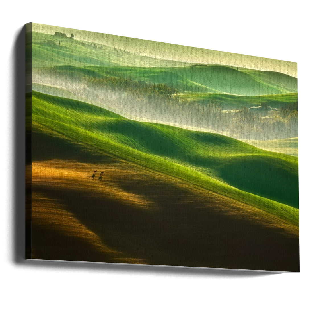 Misty Tuscany Dawn by Krzysztof Browko | Rolling Hills Landscape, Large Canvas Wall Art Print | Artsy Earth