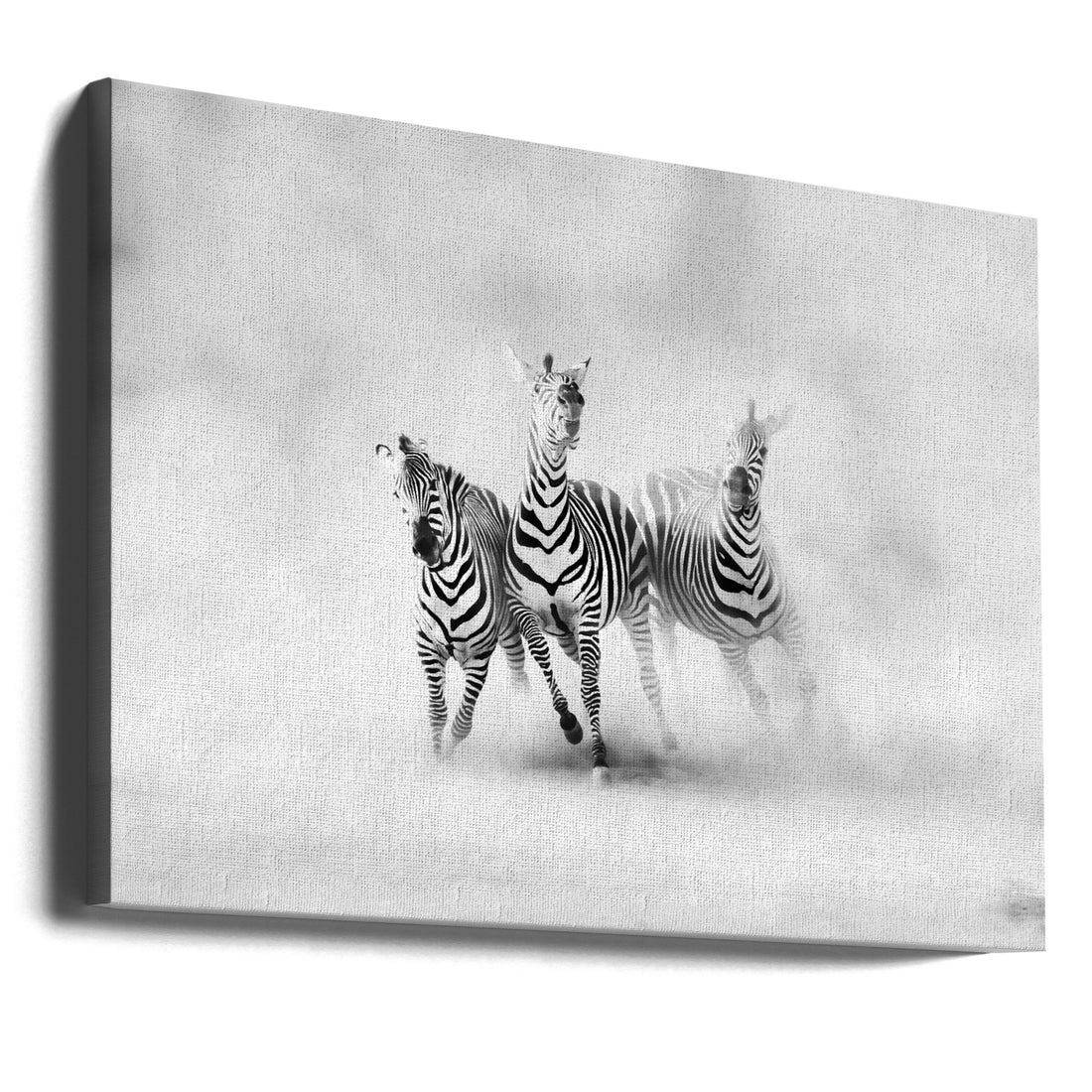 Running Zebras by Juan Luis Duran | Wildlife Nature Action, Large Canvas Wall Art Print | Artsy Earth