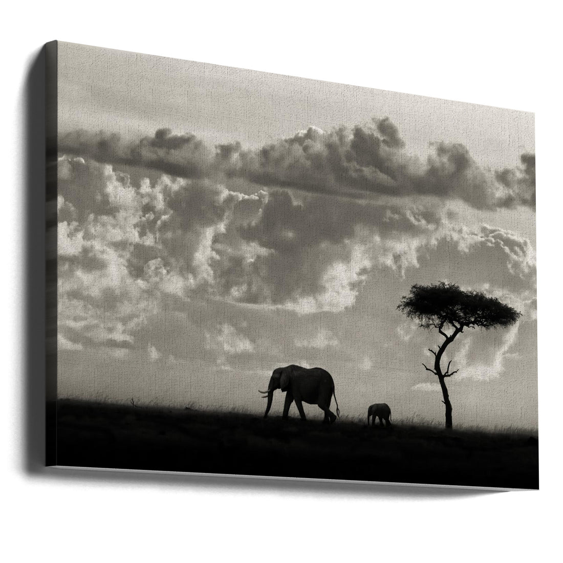 Silhouettes of Mara by Mario Moreno | African Wildlife Silhouette, Large Canvas Wall Art Print | Artsy Earth