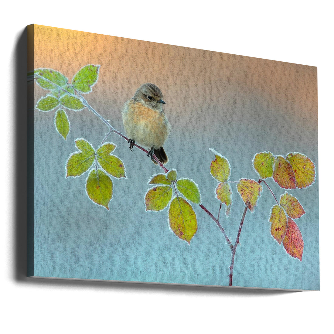 Winter Colors by Andres Miguel Dominguez | Winter Wildlife Birds, Large Canvas Wall Art Print | Artsy Earth