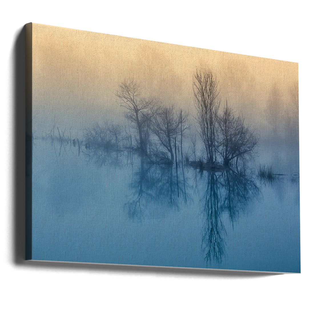 Morning Reflection by David Butali | Foggy Lake Landscape, Large Canvas Wall Art Print | Artsy Earth