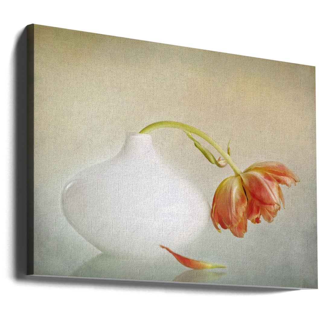 Tulip Still Life by Alida Van Zaane | Floral Botanical Art, Large Canvas Wall Art Print | Artsy Earth