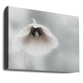 Ephemeral Beauty by Piet Flour | White Floral Macro, Large Canvas Wall Art Print | Artsy Earth