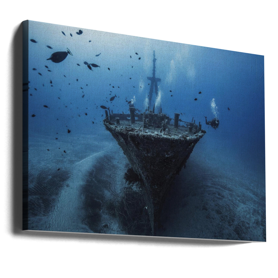 Hai Siang Wreck by Barathieu Gabriel | Underwater Shipwreck Diving, Large Canvas Wall Art Print | Artsy Earth