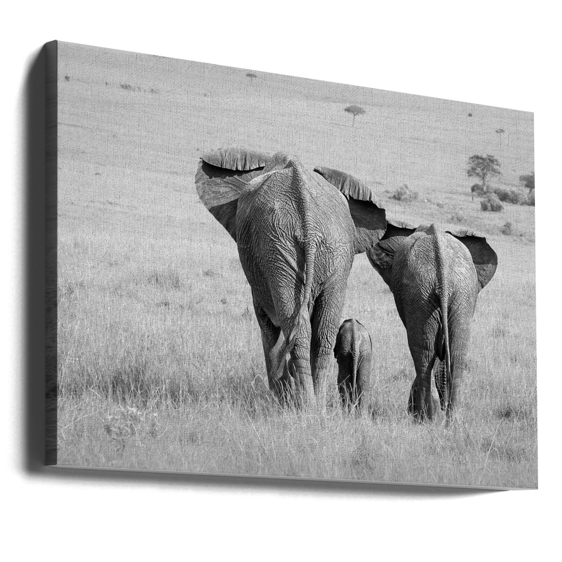 Baby Elephants Love by Ali Khataw | Wildlife Family Nature, Large Canvas Wall Art Print | Artsy Earth