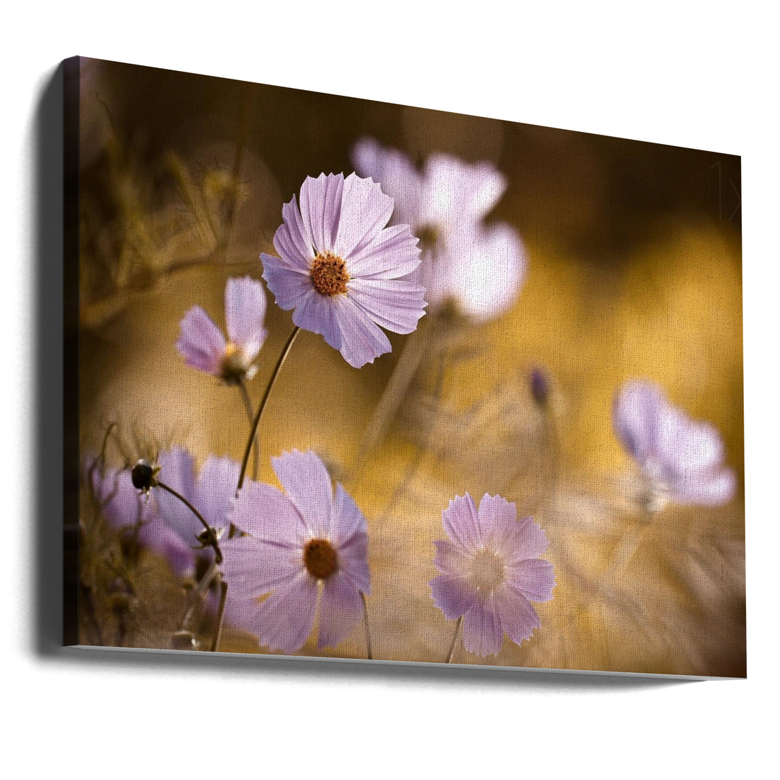 Pink Flora Macro by Fabien Bravin | Floral Botanical Garden, Large Canvas Wall Art Print | Artsy Earth