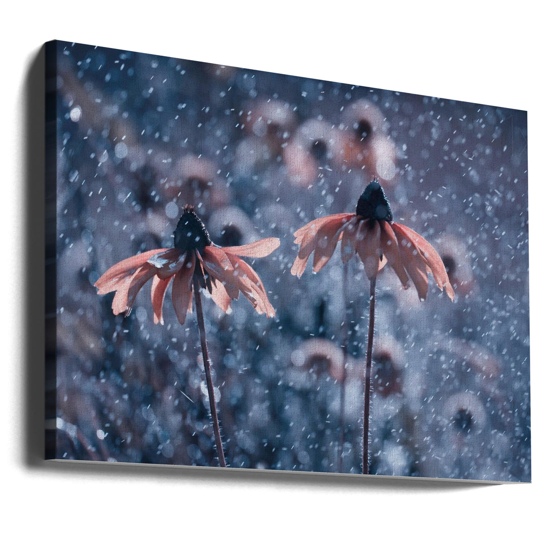 Winter Garden Flowers by Fabien Bravin | Frozen Floral Bokeh, Large Canvas Wall Art Print | Artsy Earth