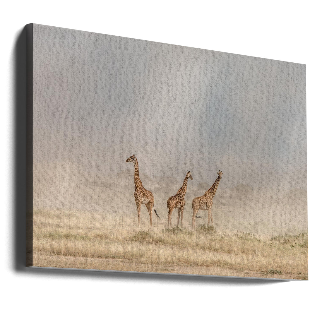 Weathering the Amboseli Dust Devils by Jeffrey C. Sink | African Wildlife Savannah, Large Canvas Wall Art Print | Artsy Earth