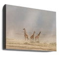 Weathering the Amboseli Dust Devils by Jeffrey C. Sink | African Wildlife Savannah, Large Canvas Wall Art Print | Artsy Earth