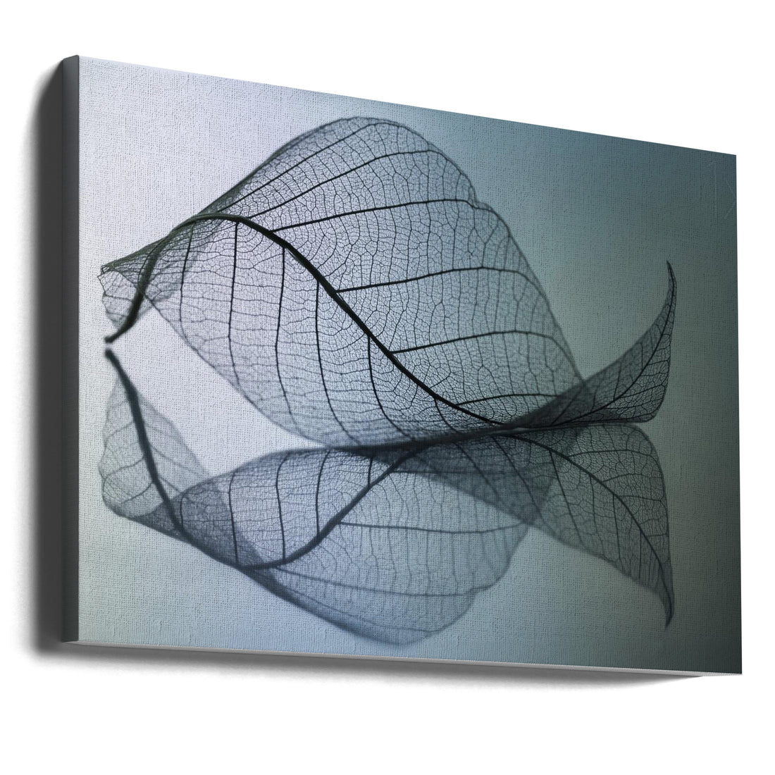 Botanical Curves by Shihya Kowatari | Delicate Plant Veins, Large Canvas Wall Art Print | Artsy Earth