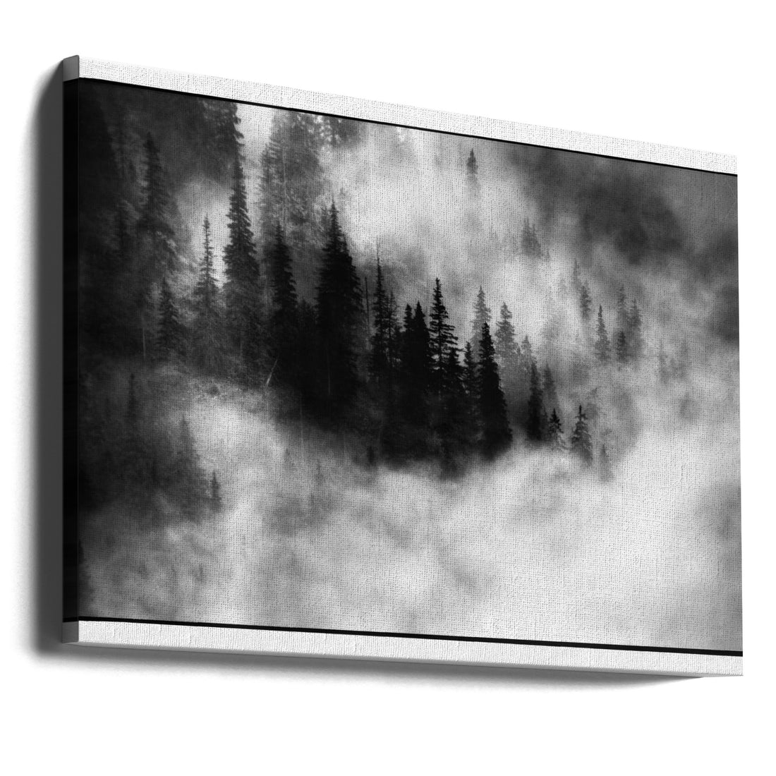 Misty Forest by Jacek Stefan | Foggy Forest Landscape, Large Canvas Wall Art Print | Artsy Earth