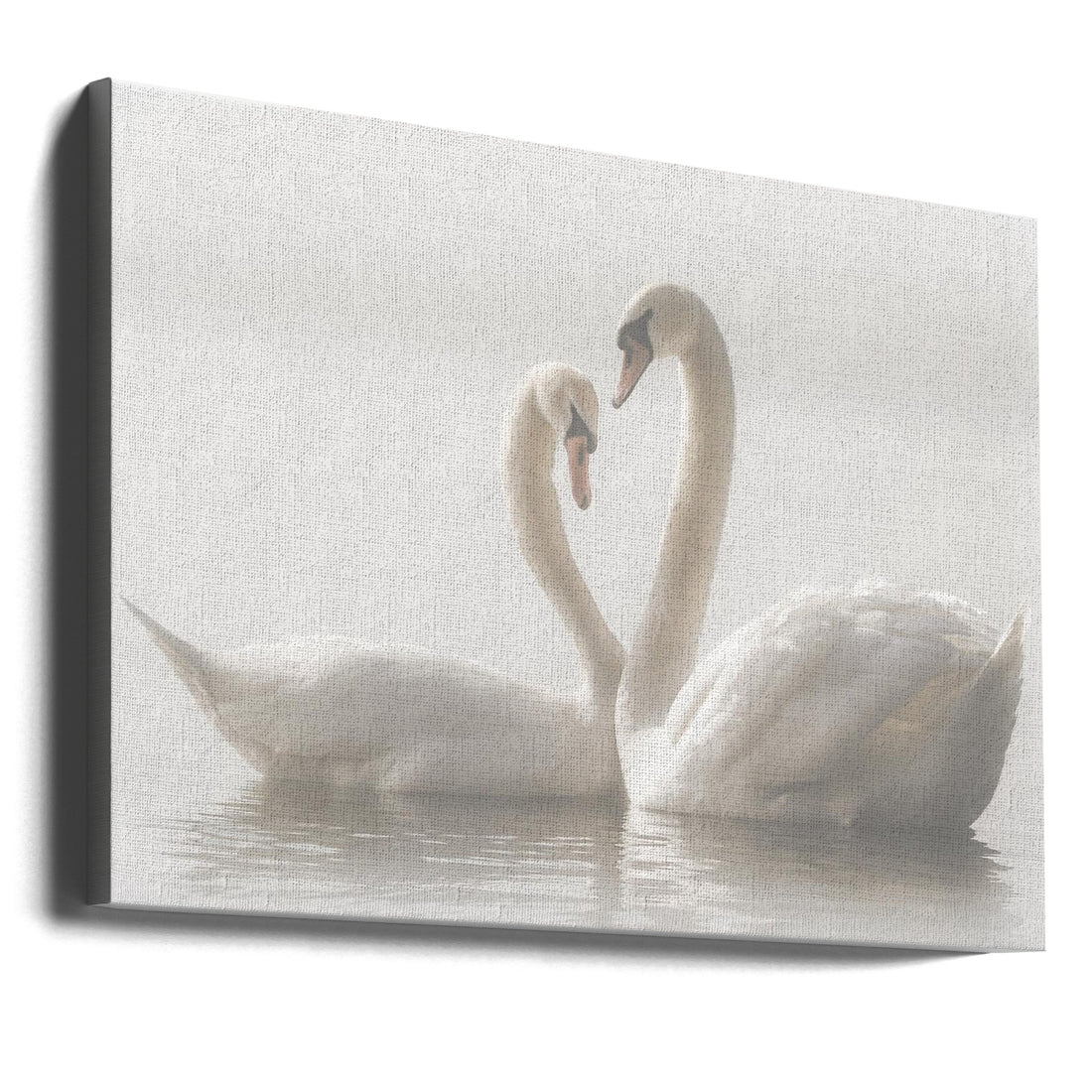 Forever Love by Monika Schwager | Romantic Swan Couple, Large Canvas Wall Art Print | Artsy Earth