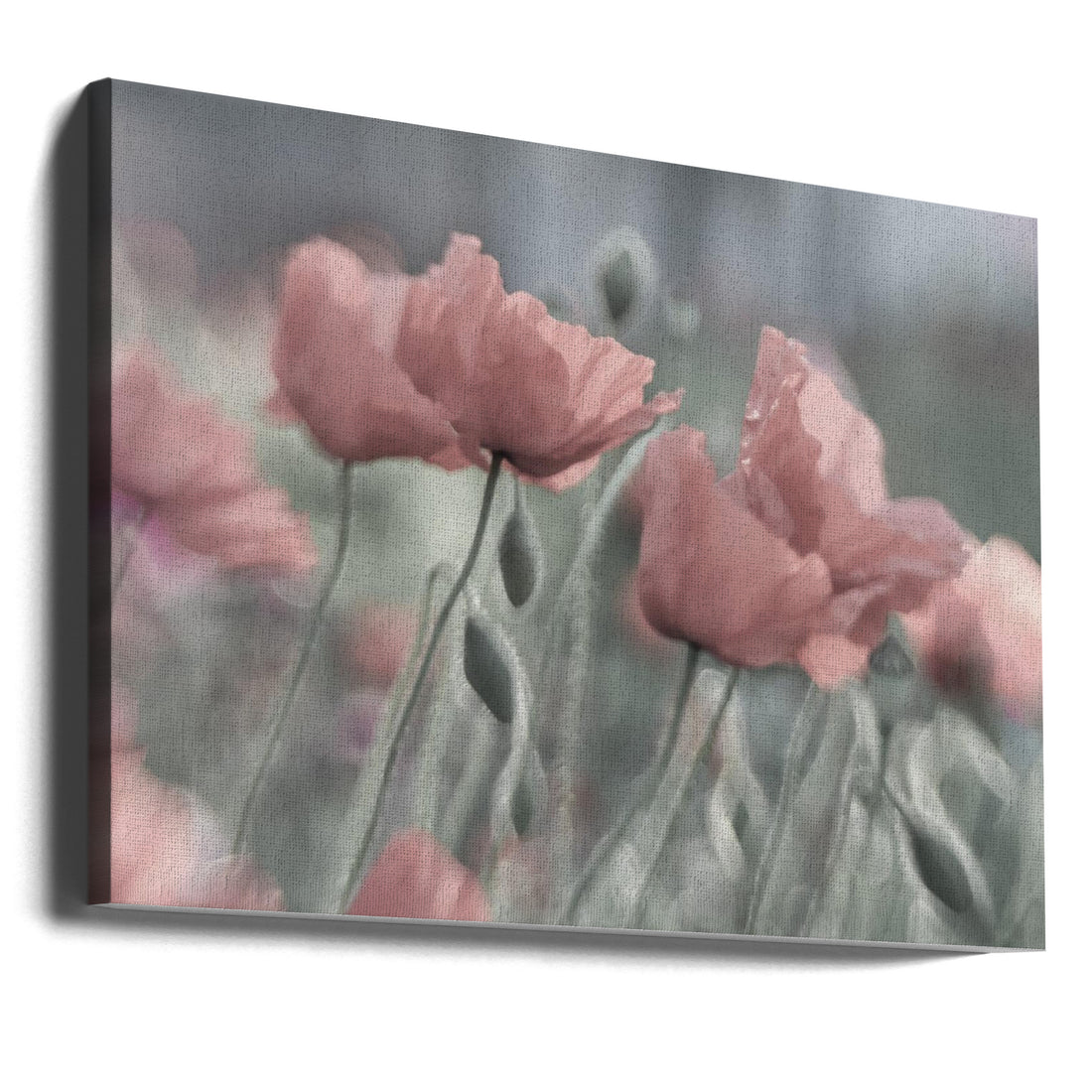 Softly Blooming by Anne Worner | Pastel Floral Romance, Large Canvas Wall Art Print | Artsy Earth