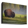 Bison in Morning Light by Sandipan Biswas | Wildlife Nature Landscape, Large Canvas Wall Art Print | Artsy Earth