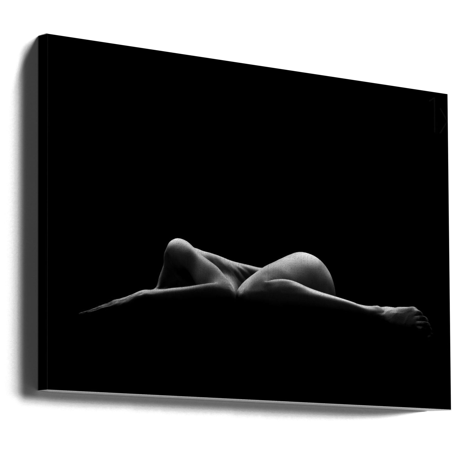 Fine Art Bodyscape by Leon Schröder | Minimalist Nude Shadow, Large Canvas Wall Art Print | Artsy Earth